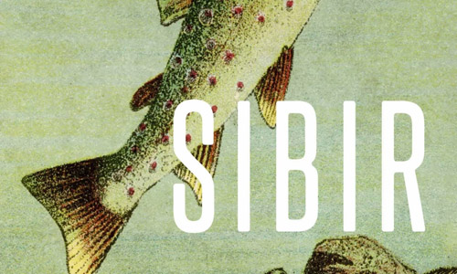 Buchcover: Sabrina Janesch: Sibir (Ausschnitt)