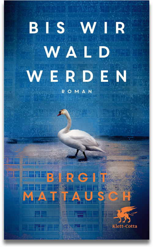 Buchcover: Birgit Mattausch Bis wir Wald werden