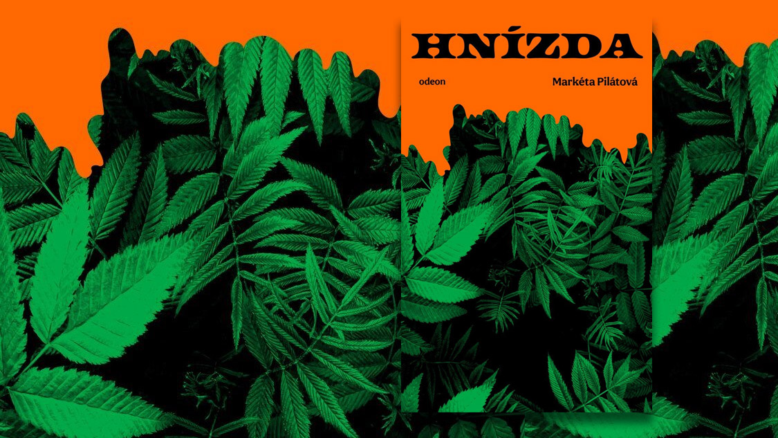 Hnízda | Nester