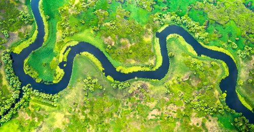 Die Luftaufnahme des Donaudeltas in Rumänien zeigt, wie sehr sich das Gewässer schlängelt. © foto8tik/ AdobeStock