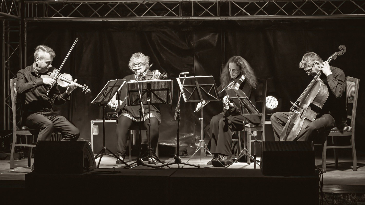 Das Hoffmeister-Quartett. Foto: © Anja Möller, 2024