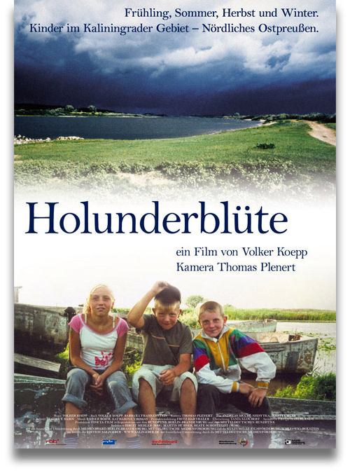 Filmplakat: Holunderblüte