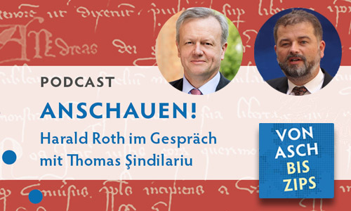 Das Bild zeigt einen Ausschnitt der Andreanums-Urkunde | Bearbeitung © DKF