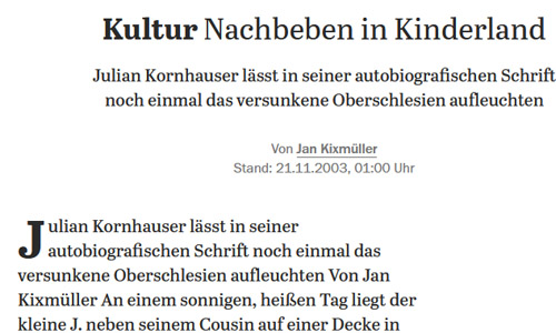 Screenshot: Potsdamer Neueste Nachrichten, 21.11.2003: Nachbeben in Kinderland