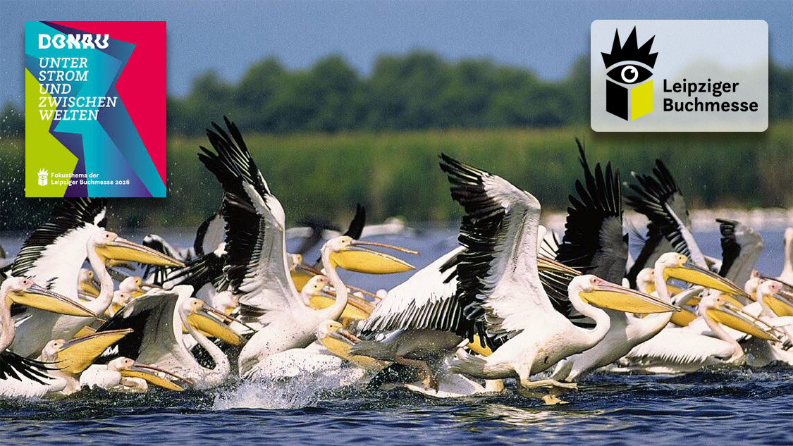 Schön – blau – rätselhaft - Veranstaltungen